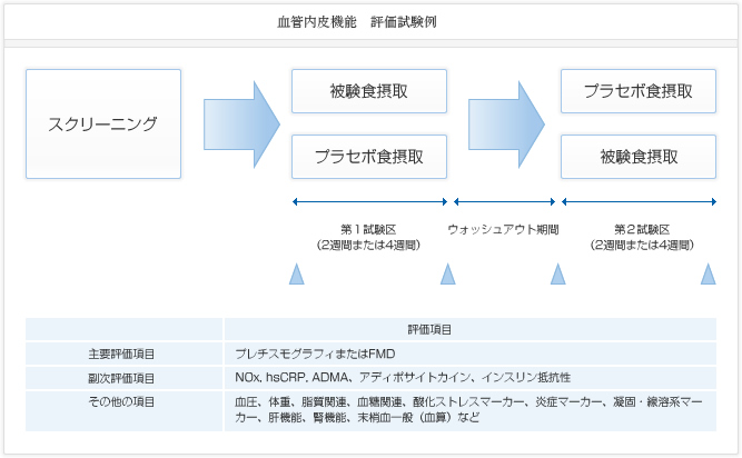 血管内皮機能 評価試験例