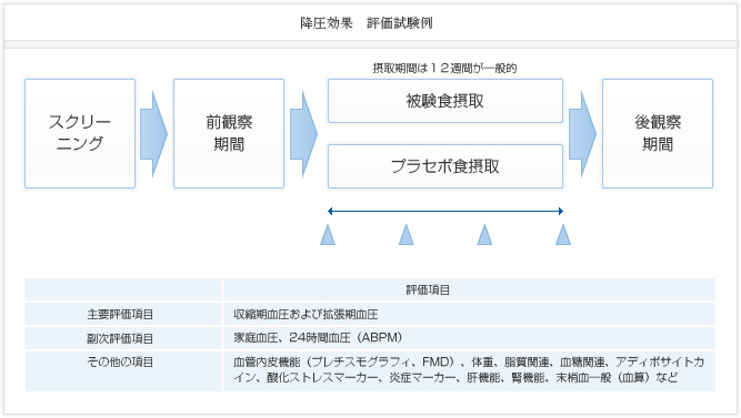 降圧効果 評価試験例