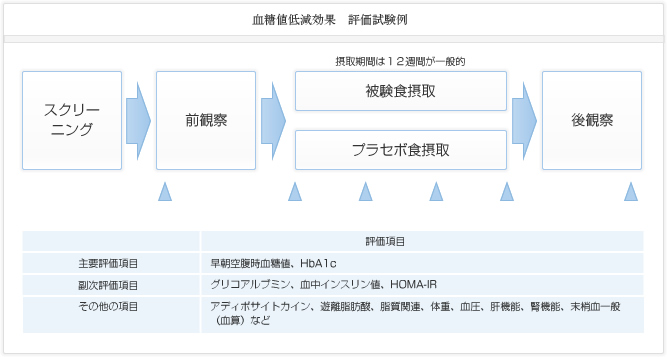 血糖値低減効果 評価試験例