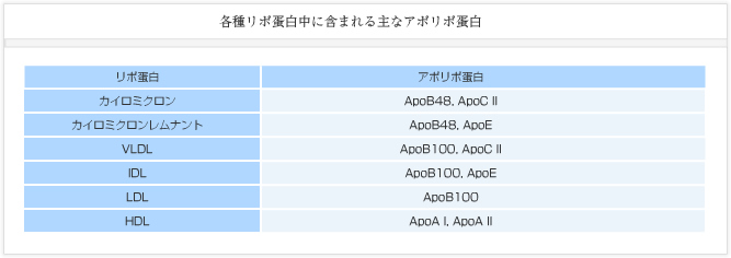 各種リポ蛋白中に含まれる主なアポリポ蛋白