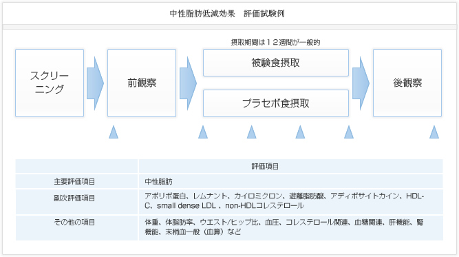 中性脂肪低減効果 評価試験例