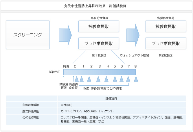 食後中性脂肪上昇抑制効果 評価試験例