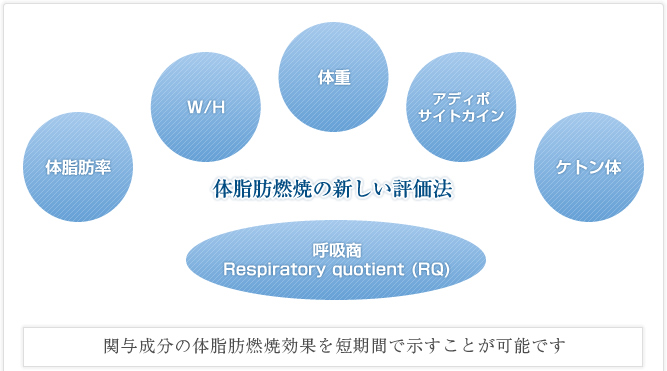 体脂肪燃焼の新しい評価法