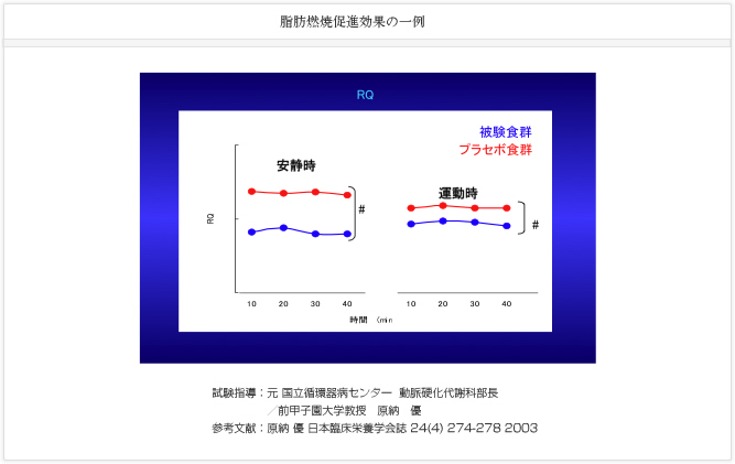 脂肪燃焼促進効果の一例