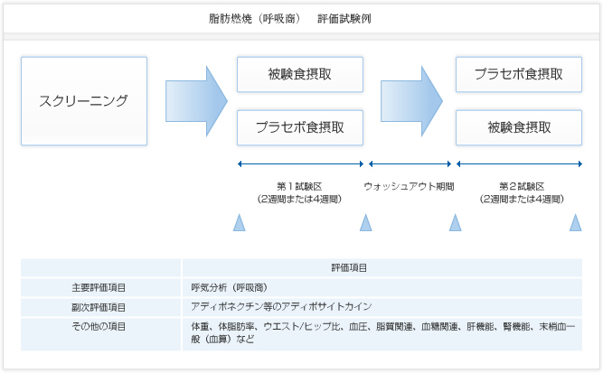 脂肪燃焼（呼吸商） 評価試験例