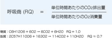 呼吸商（RQ）の計算式