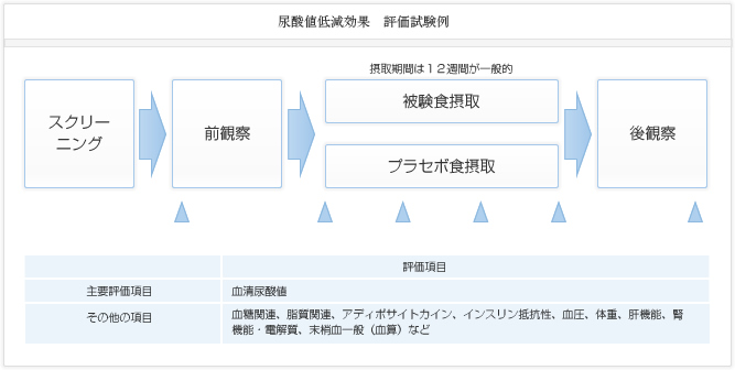 尿酸値低減効果 評価試験例